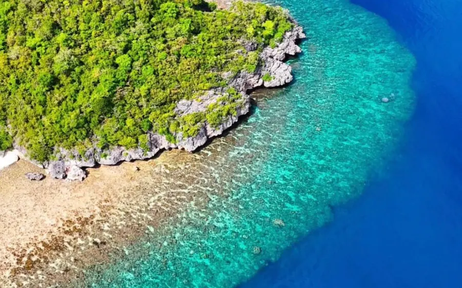 An aerial view of a green headland, white sand and bright turquoise shallows
